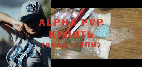 ПСИЛОЦИБИНОВЫЕ ГРИБЫ Инта