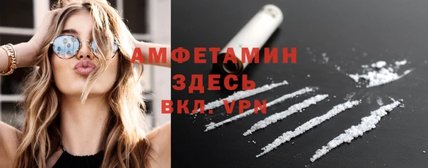 ПСИЛОЦИБИНОВЫЕ ГРИБЫ Инта