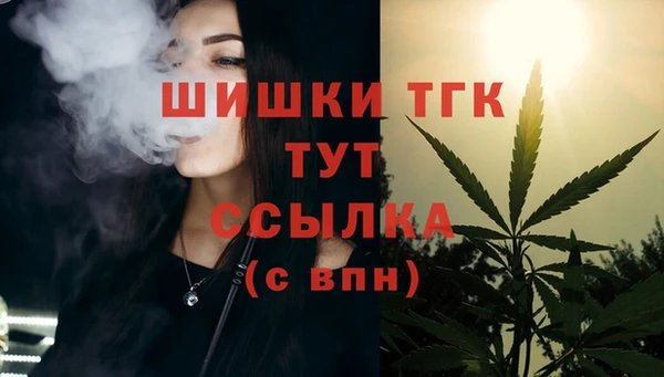 ПСИЛОЦИБИНОВЫЕ ГРИБЫ Инта