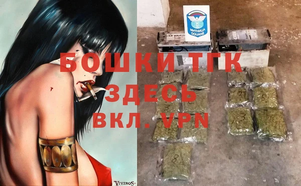 метадон Каменка