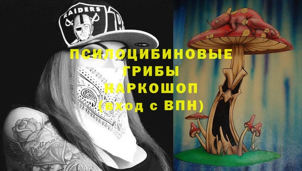 ПСИЛОЦИБИНОВЫЕ ГРИБЫ Инта