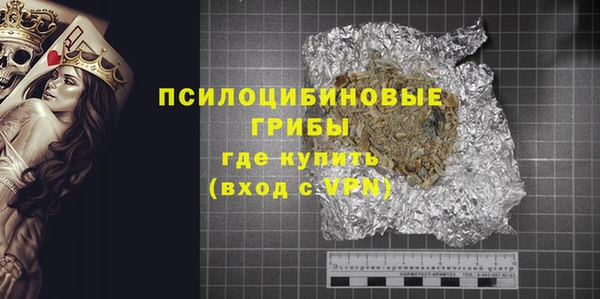 ПСИЛОЦИБИНОВЫЕ ГРИБЫ Инта