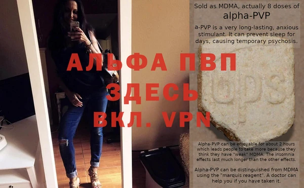 ПСИЛОЦИБИНОВЫЕ ГРИБЫ Инта