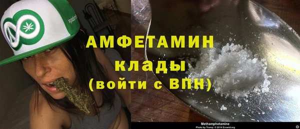 прущие грибы Каменск-Шахтинский