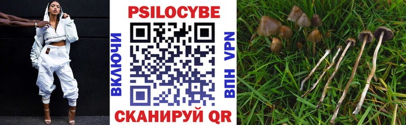 Купить где  Володарск  Галлюциногенные грибы мухоморы 