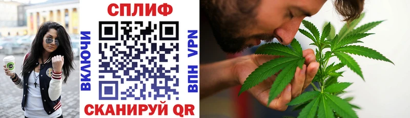 Канабис план  Купить  Володарск 